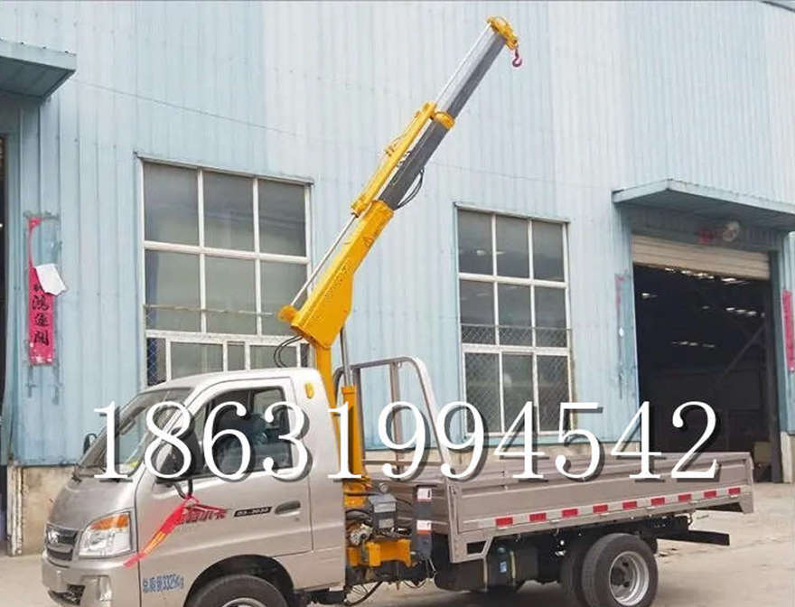 上林县车载吊机220v移动吊机可拆卸那里有船用小型提升机车载吊机